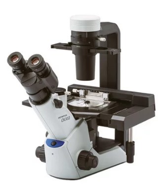 Olympus CKX53 инвертированный флуоресцентный микроскоп - MIKROPTIKA